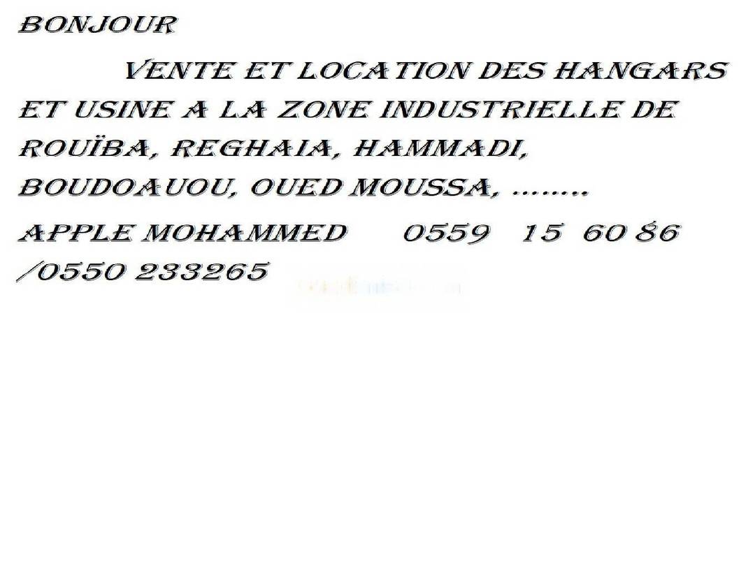 Vente Hangar Rouiba