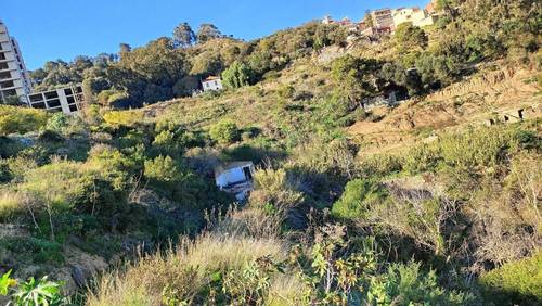 Vente Terrain Bouzareah