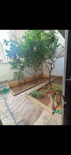 Vente Villa F10 Kouba