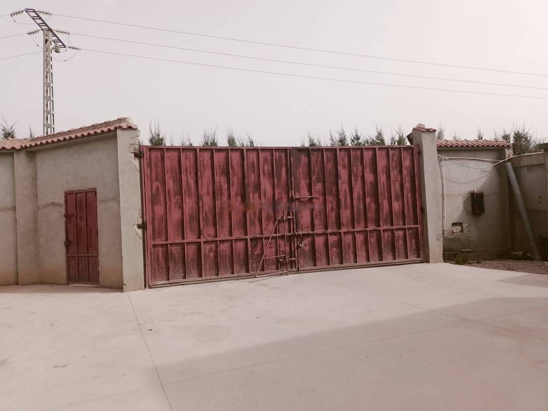 Location Hangar Sidi Moussa