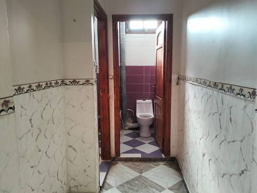 Location Niveau de villa F2 Les Eucalyptus