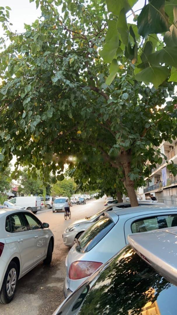 Vente Appartement Kouba
