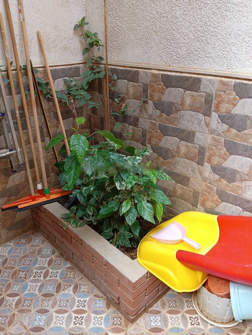 Location Appartement F3 Saoula