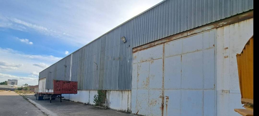 Location Hangar Reghaia