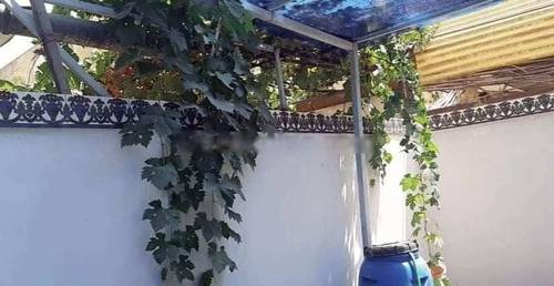 Location Appartement F3 Kouba