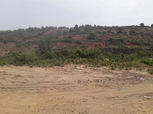 Vente terrain beni messous