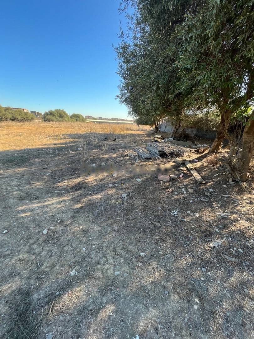 Location Terrain Reghaia