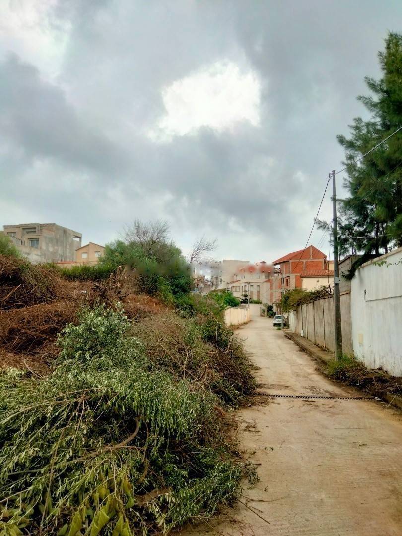Vente Terrain El Achour