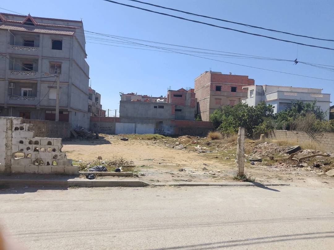 Vente Terrain Reghaia
