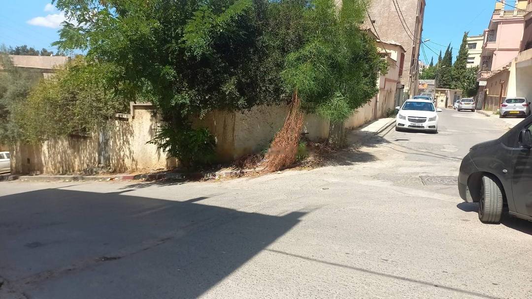 Vente Villa Kouba