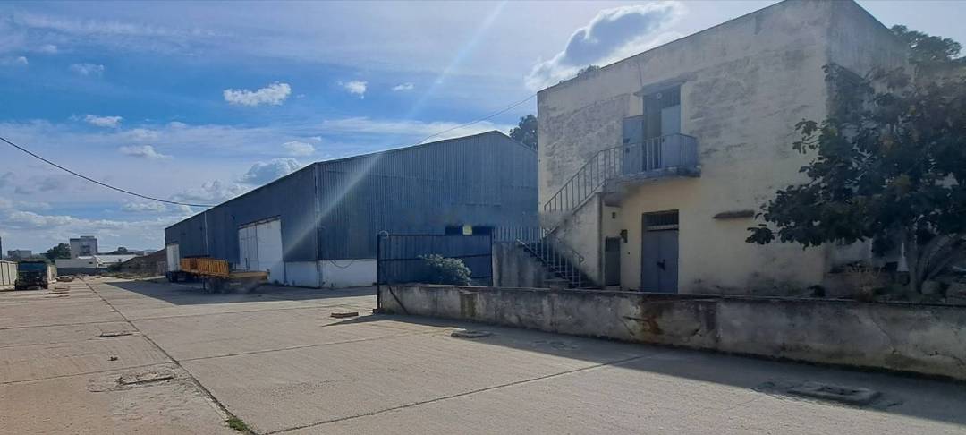 Location Hangar Reghaia