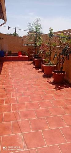 Location saisonnière Appartement Ain Taya