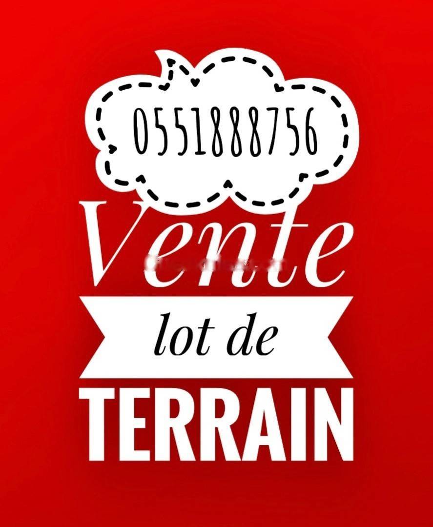  Vente terrain el achour