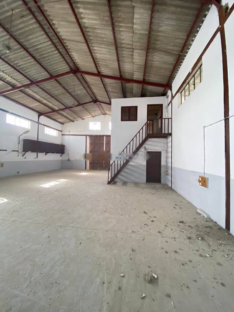 Location Hangar Tessala El Merdja