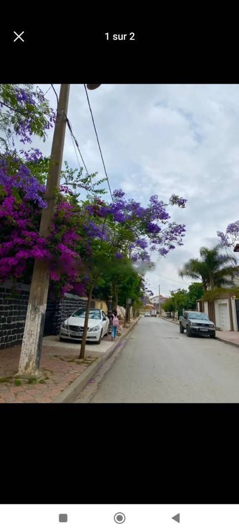 Vente Appartement F3 El Harrach