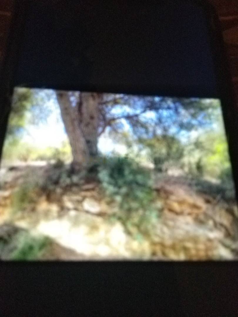 Vente Terrain El Achour