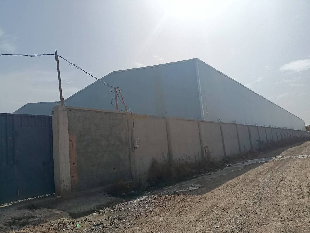 Location Hangar Oued Smar
