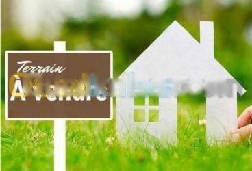 Vente Terrain Dely Ibrahim
