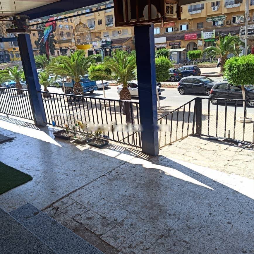 Location Local Draria