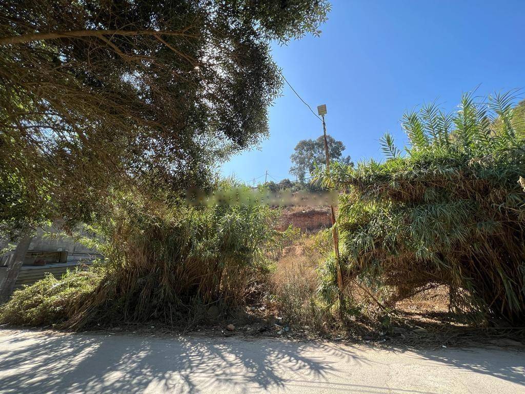 Vente Terrain El Achour