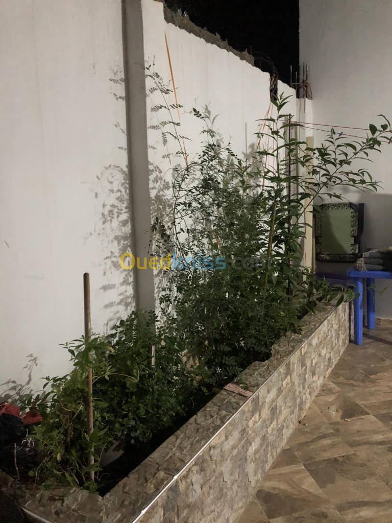 Location Appartement F3 Bordj El Bahri