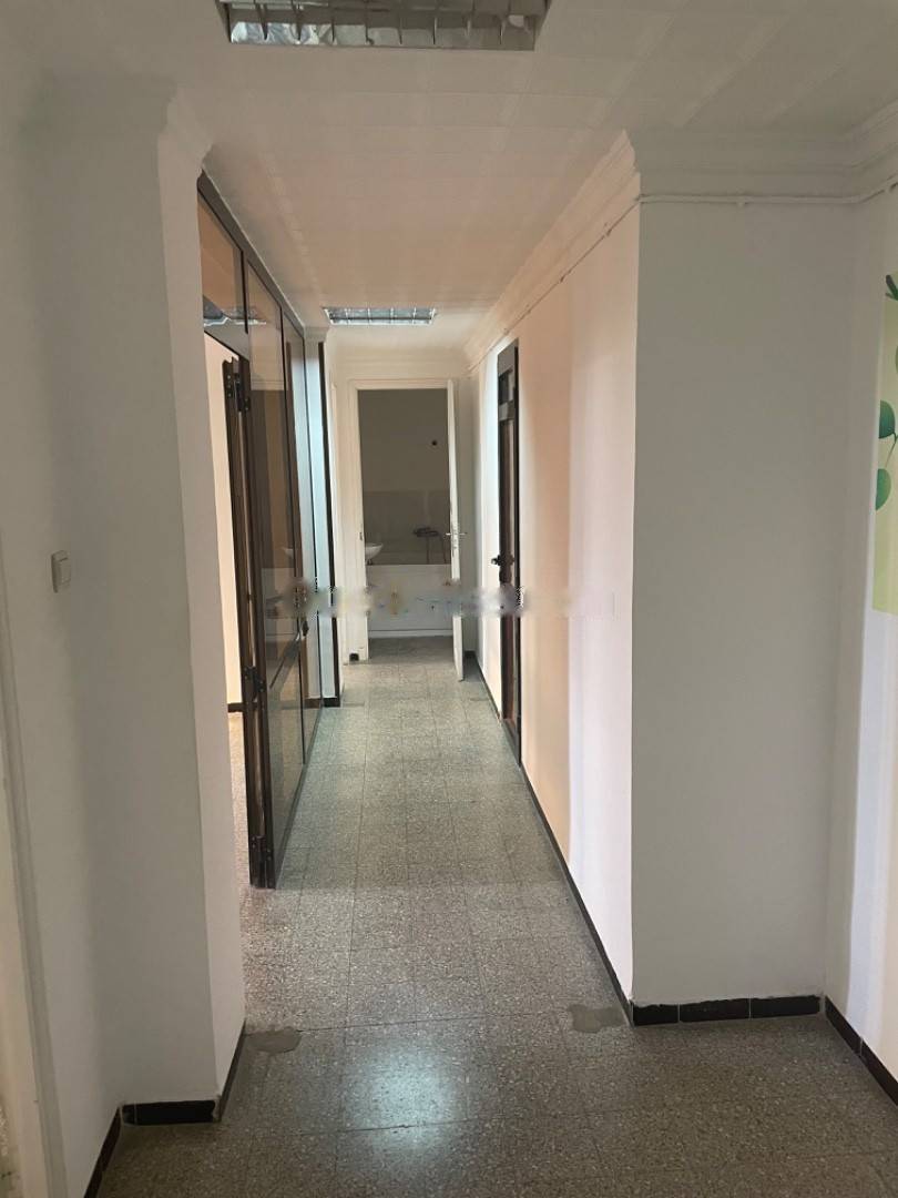 Location Appartement F3 El Biar