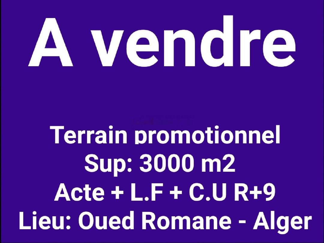 Vente Terrain El Achour