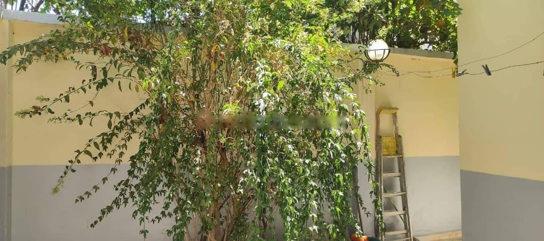 Location Appartement Birtouta