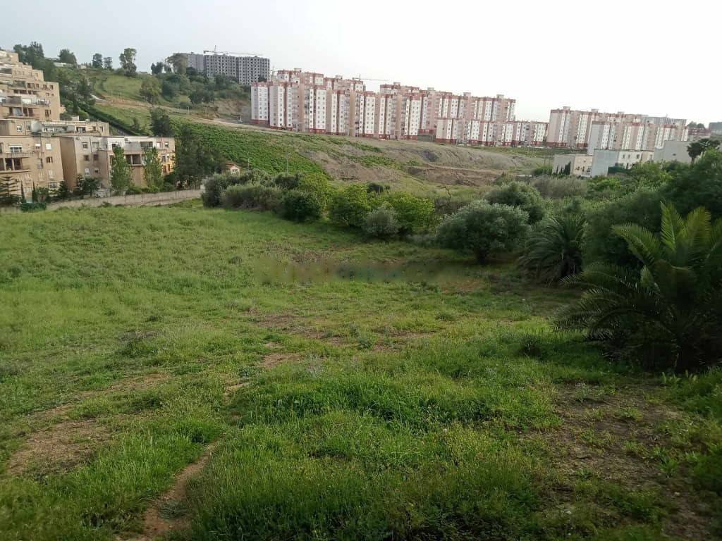 Vente Terrain Ouled Fayet