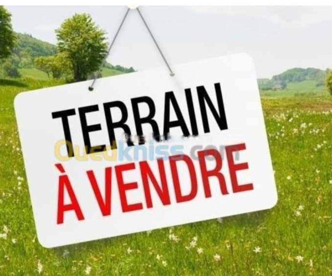 Vente Terrain Dely Ibrahim