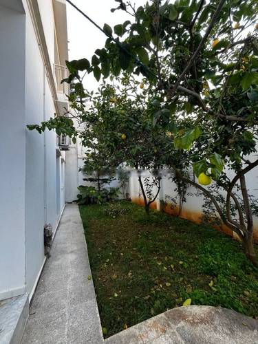 Location Appartement F1 Kouba