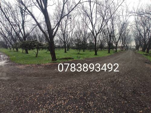 Vente Terrain Ouled Chebel