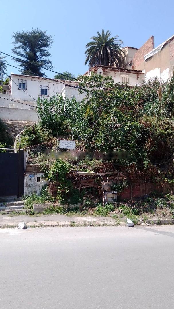 Vente terrain oued koriche