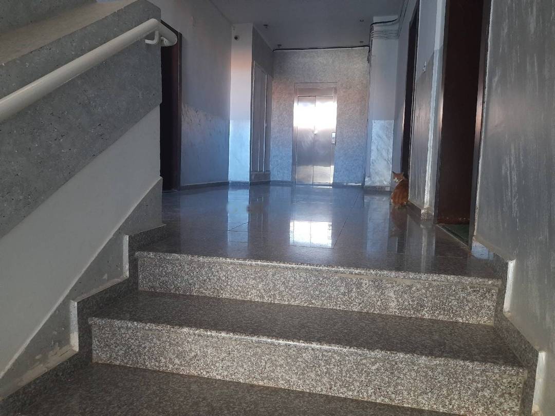 Vente Appartement F3 Bouzareah