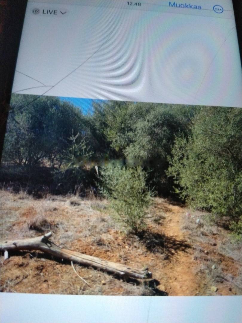 Vente Terrain El Achour