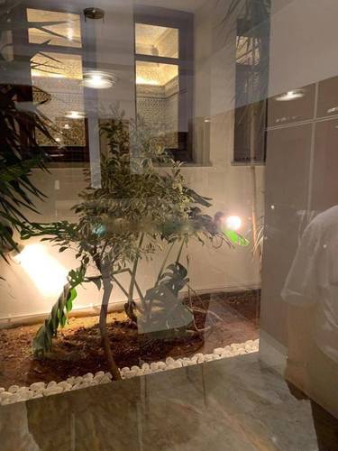 Vente Villa F9 Hydra