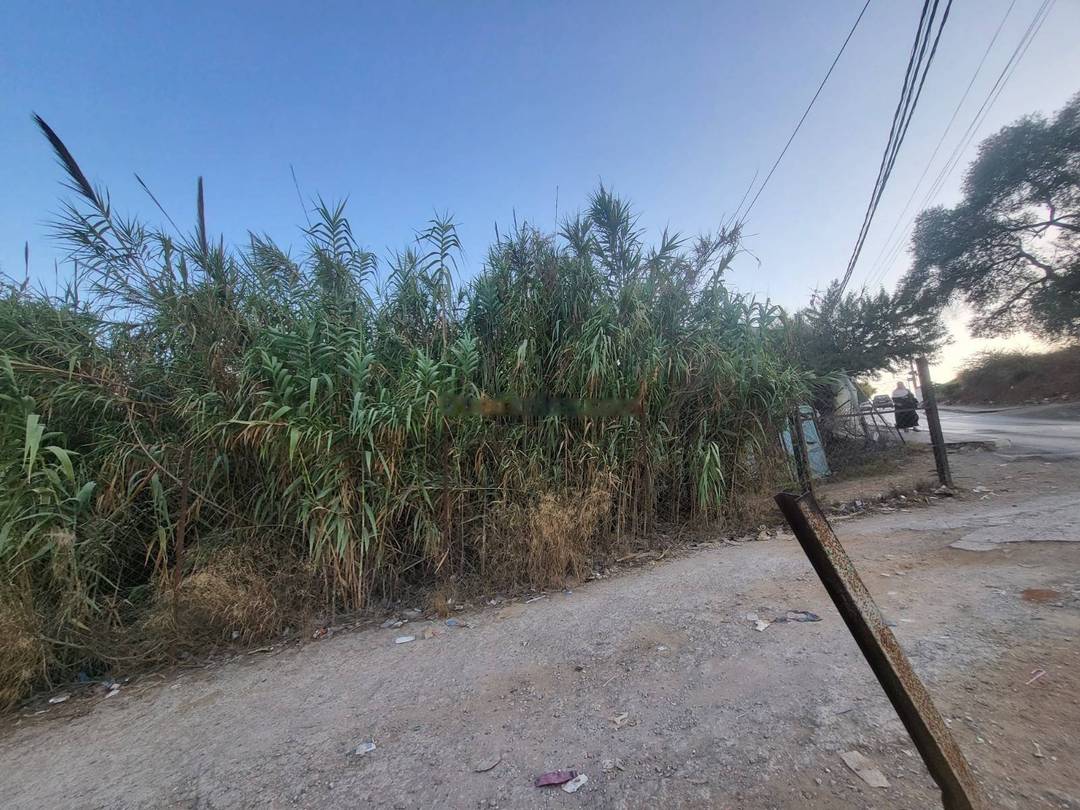 Vente Terrain Saoula