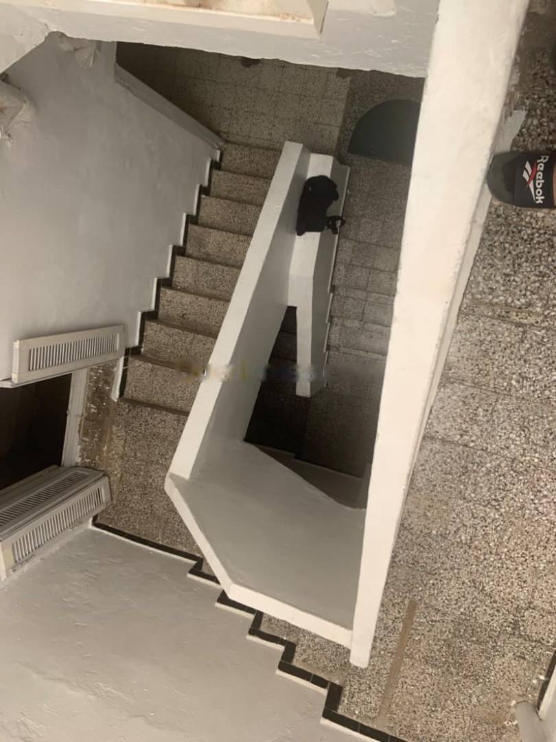 Vente Carcasse Bouzareah