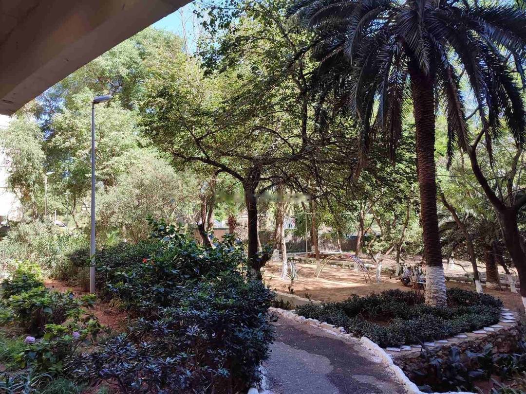 Location Appartement F4 Hydra