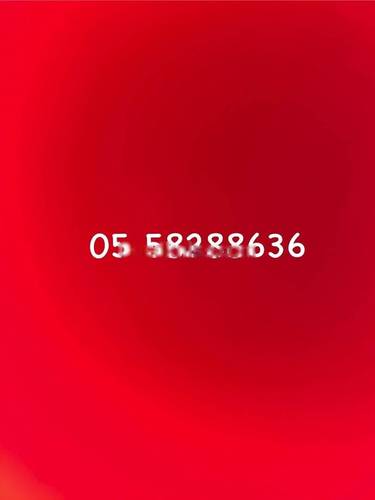 Location Local Bouzareah