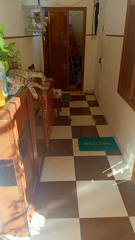 Vente Appartement F3 Bab El Oued