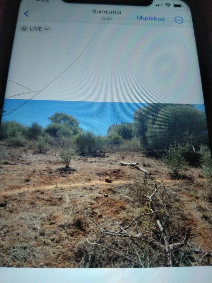 Vente Terrain El Achour