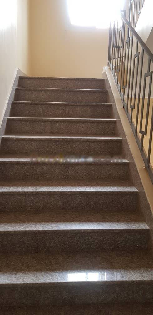 Location Appartement F3 Cheraga