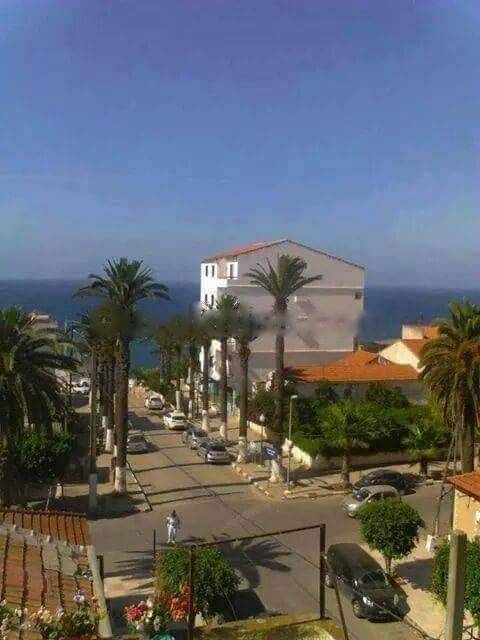 Location appartement f2 alger-centre