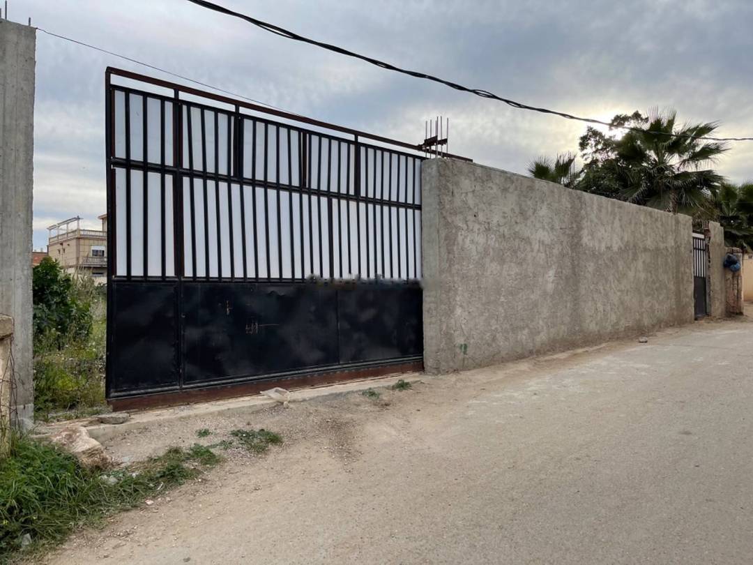 Vente Terrain Ain Taya