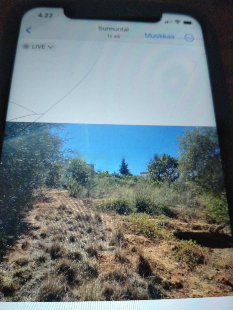 Vente Terrain El Achour