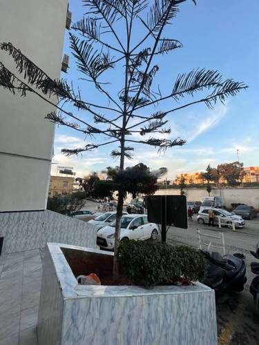 Location Local Birkhadem