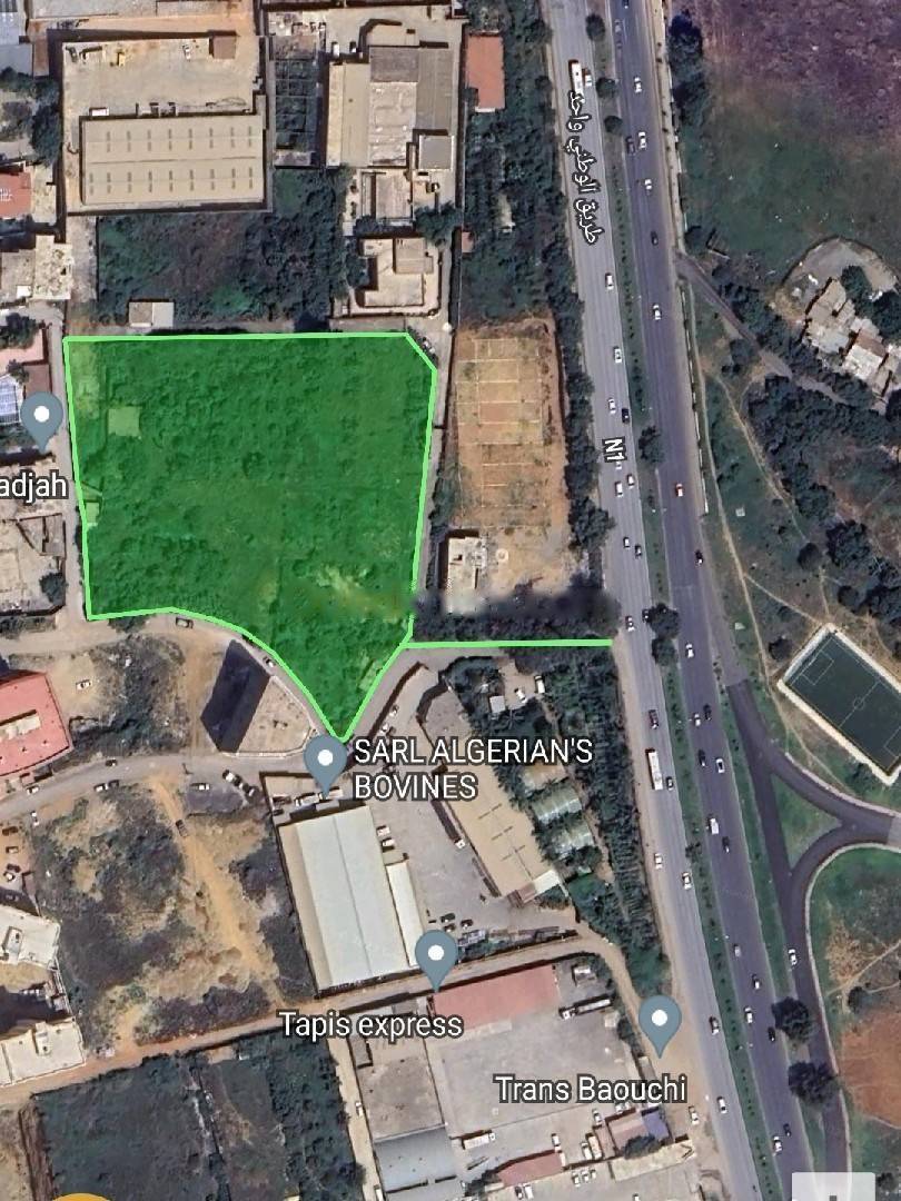 Vente Terrain Birkhadem