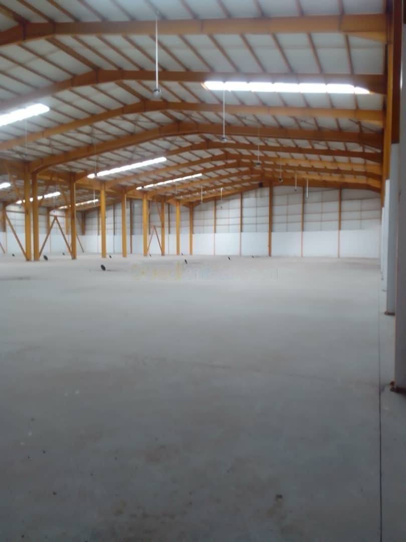 Location Hangar Oued Smar