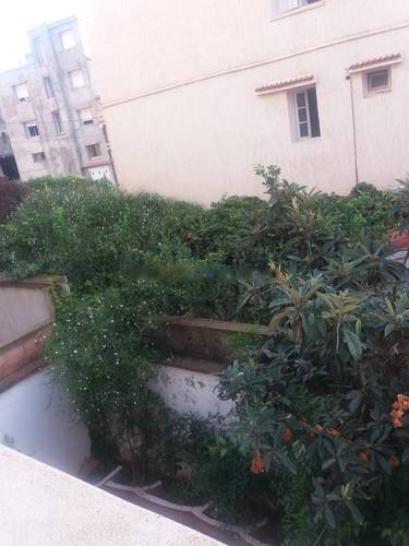 Location Appartement F2 Cheraga